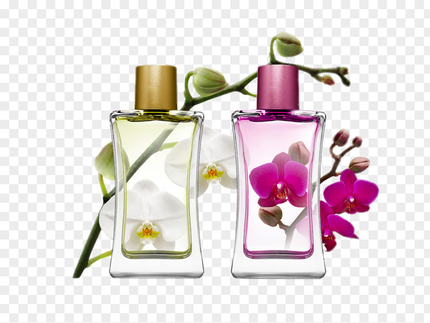 High Fragrance Bottle Perfumer Eau De Toilette IPRA Fragrances Aroma Compound PNG