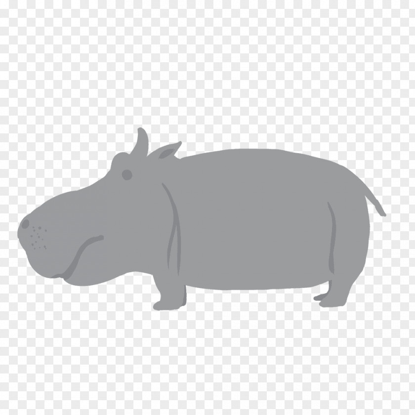 Kaba Hippopotamus Animal Mammal PNG