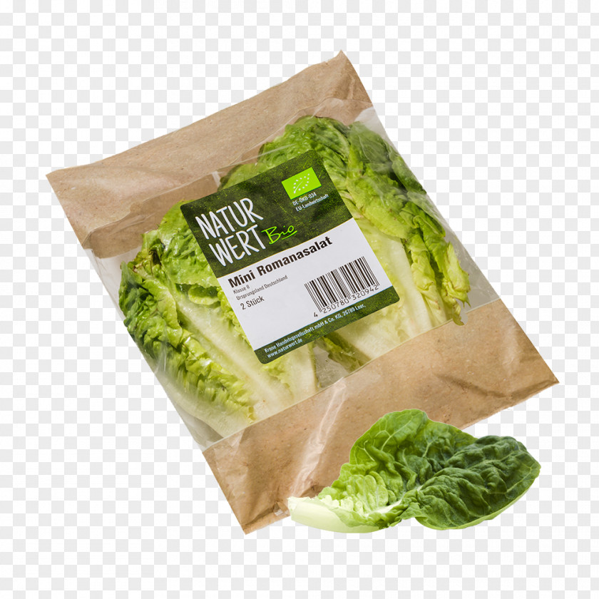Avocado Salad Romaine Lettuce Vegetarian Cuisine Ingredient PNG