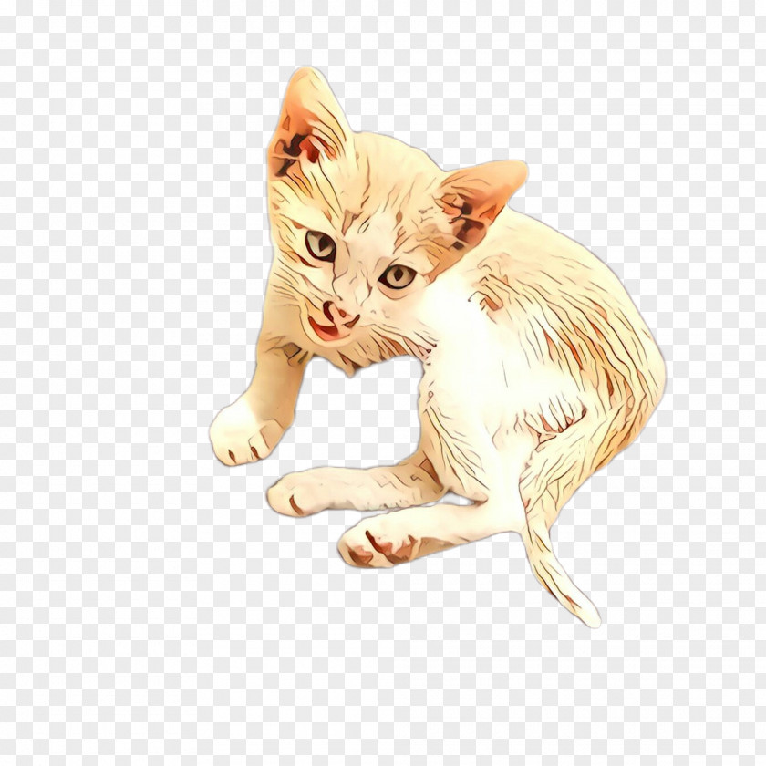 Fawn Tail Cat Small To Medium-sized Cats Kitten Whiskers Drawing PNG