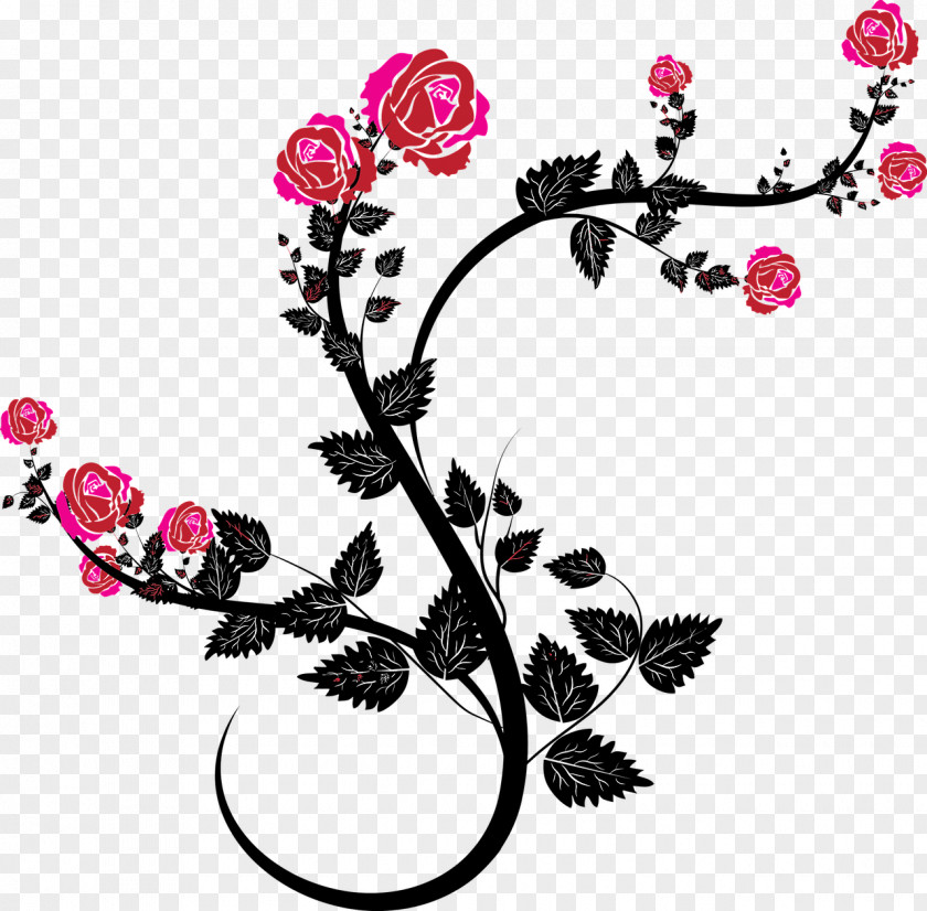 Flower Line Rose Drawing Vine Clip Art PNG