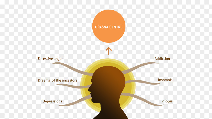 Holistic Healing Inflammation Vedas Sanatan Sanstha Guru Dharma Ashram PNG