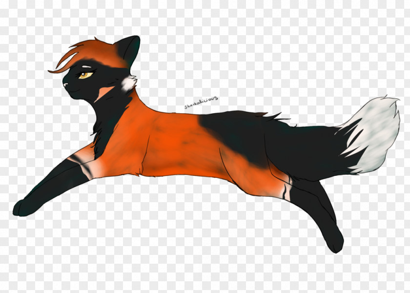 Leap Of Faith Whiskers Dog Red Fox Cat News PNG