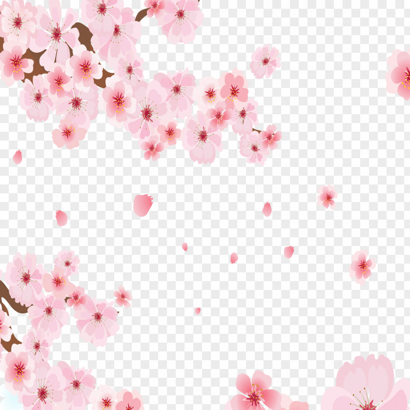 Pink Hand-painted Cherry Tree National Blossom Festival Cerasus PNG