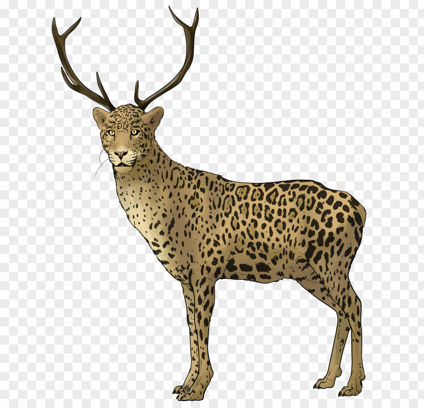 Reindeer National Geographic Animal Jam White-tailed Deer Elk Adrien Agreste PNG