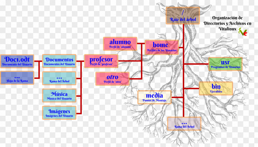 Tree Directory File System Organization PNG