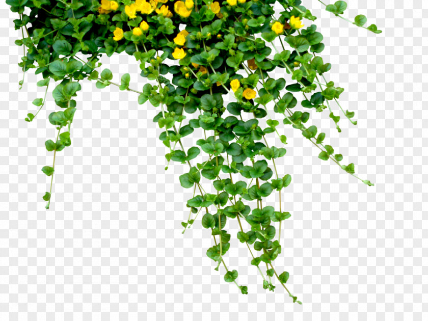 Garland Plant Flower Clip Art PNG