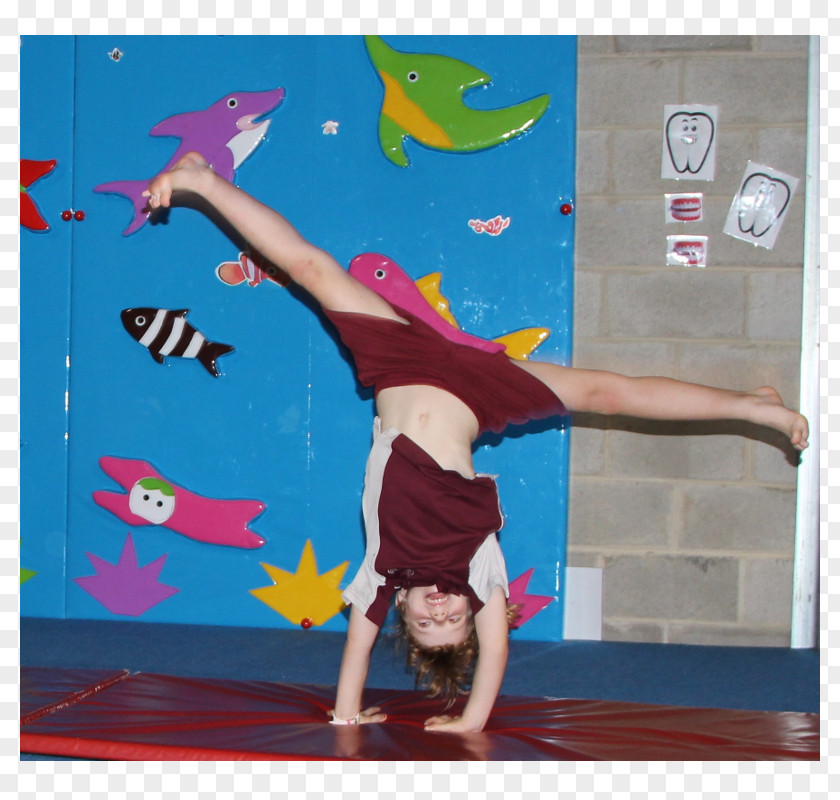 Gymnastics Child Tumbling Sport Fitness Centre PNG