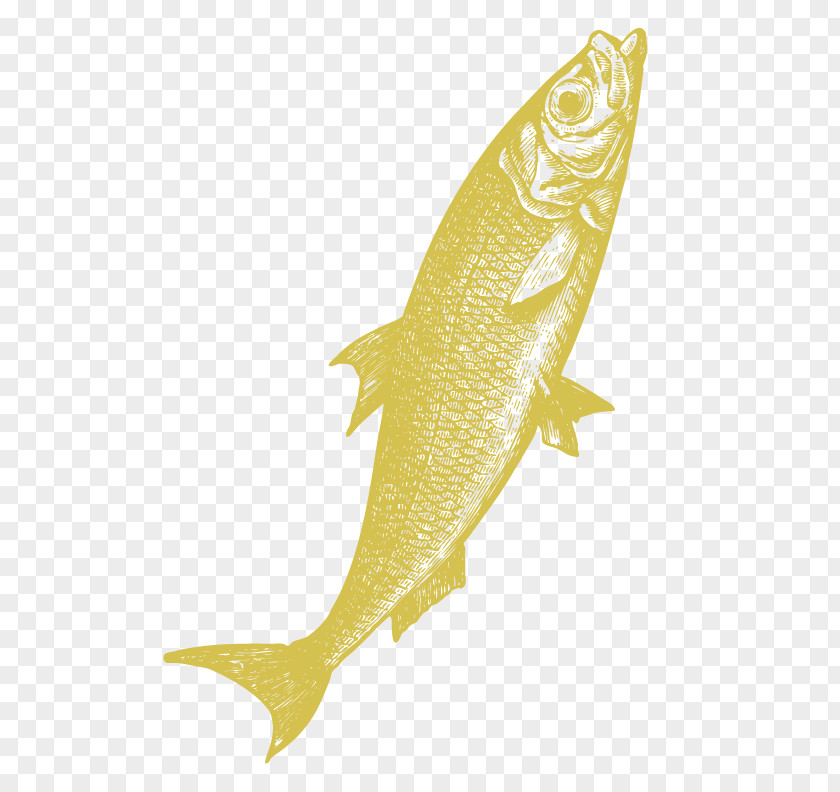 Limon Fish PNG