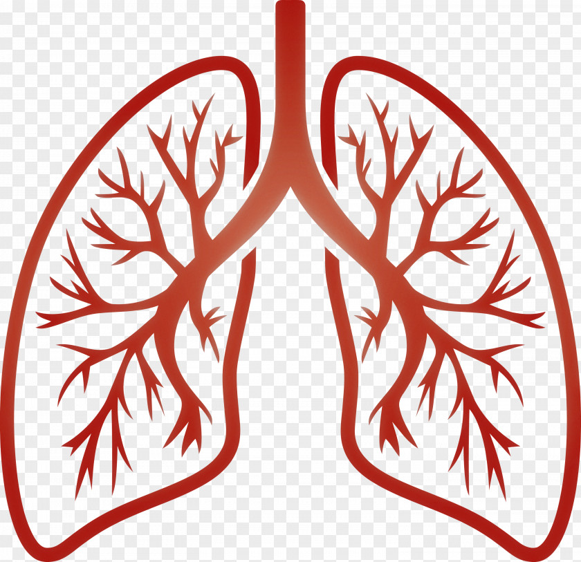 Lungs COVID Corona Virus Disease PNG