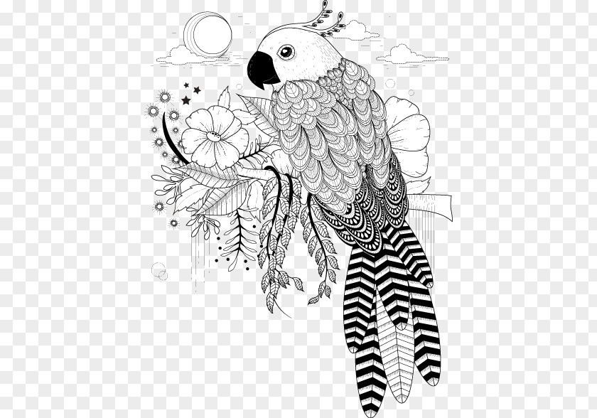 Parrot Pattern Black Line Art Bird Owl Stock Photography Illustration PNG