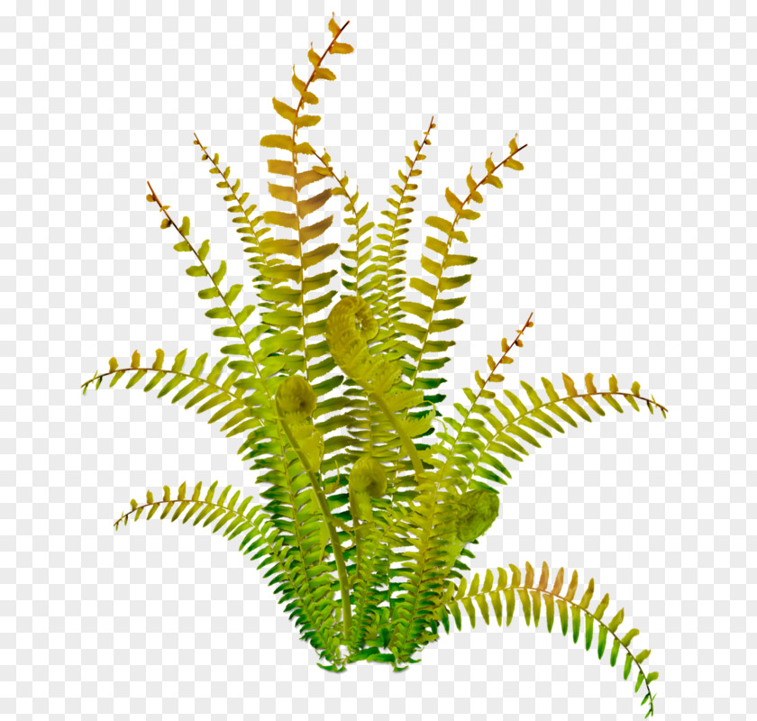 Planting Vector PNG