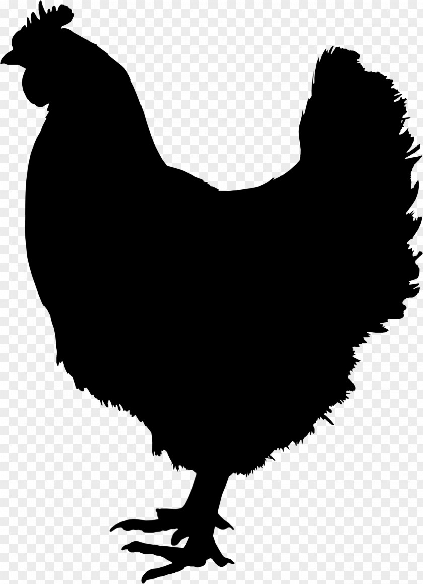 Rooster Image Chicken PNG