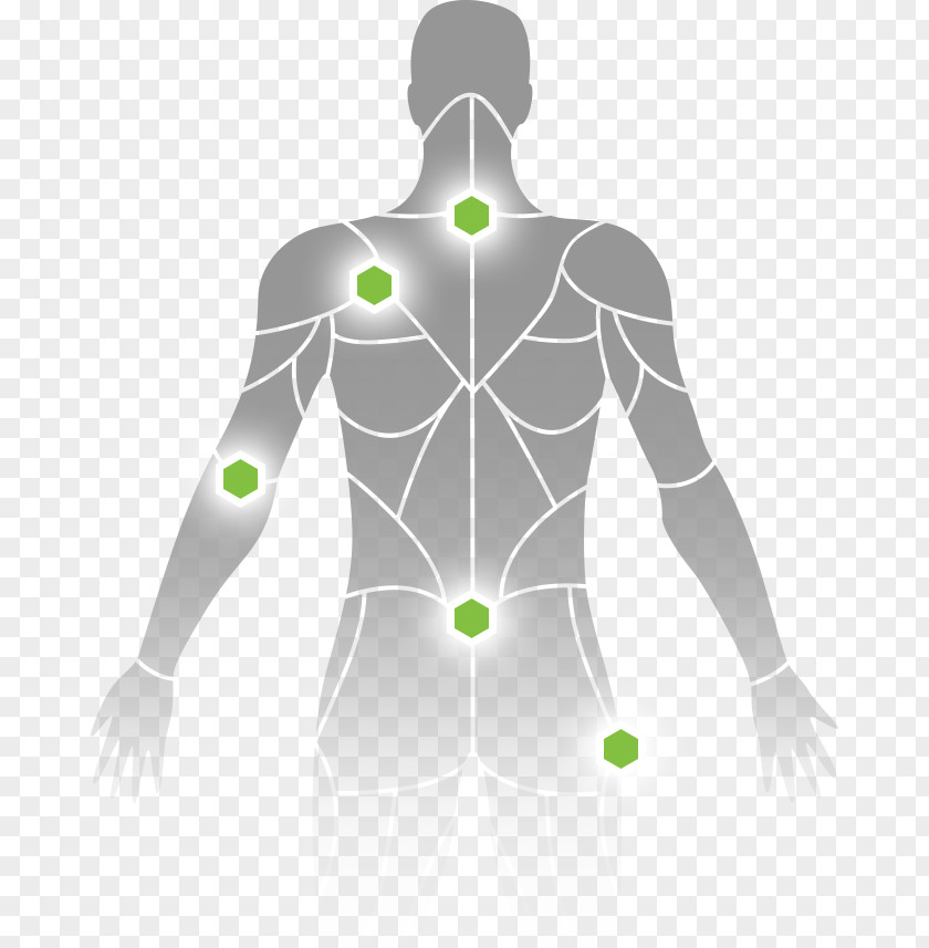 Trigger Point Myofascial Therapy Shoulder Muscle Lumbar PNG