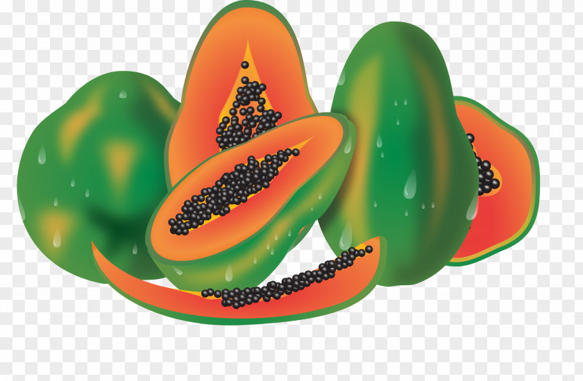 Vector Papaya Watermelon Euclidean Auglis PNG