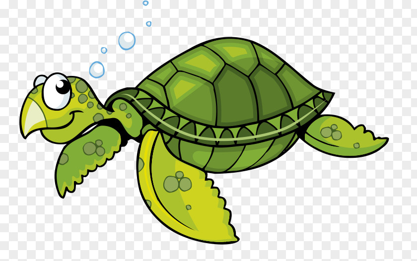 Bubble Cartoon Tortoise Turtle Sea PNG