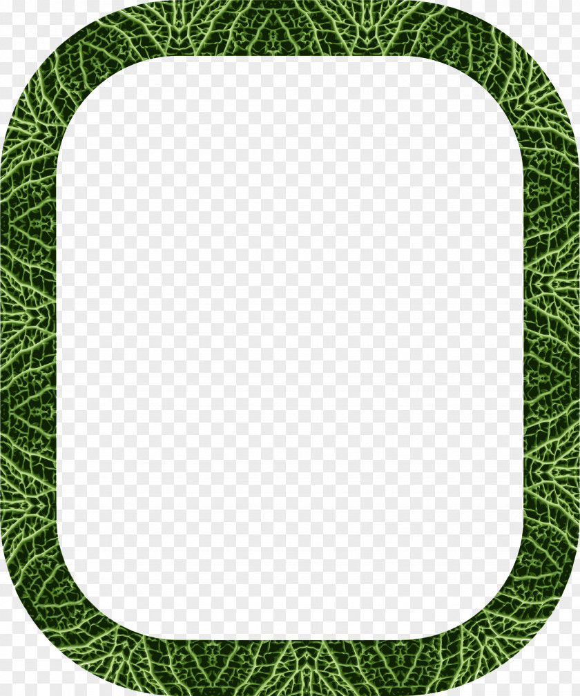 Cabbage Picture Frames Egypt Clip Art PNG
