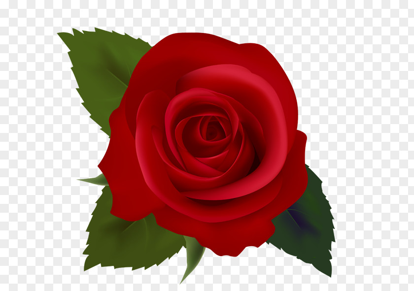 Rose Flower Cliparts Black Free Content Clip Art PNG