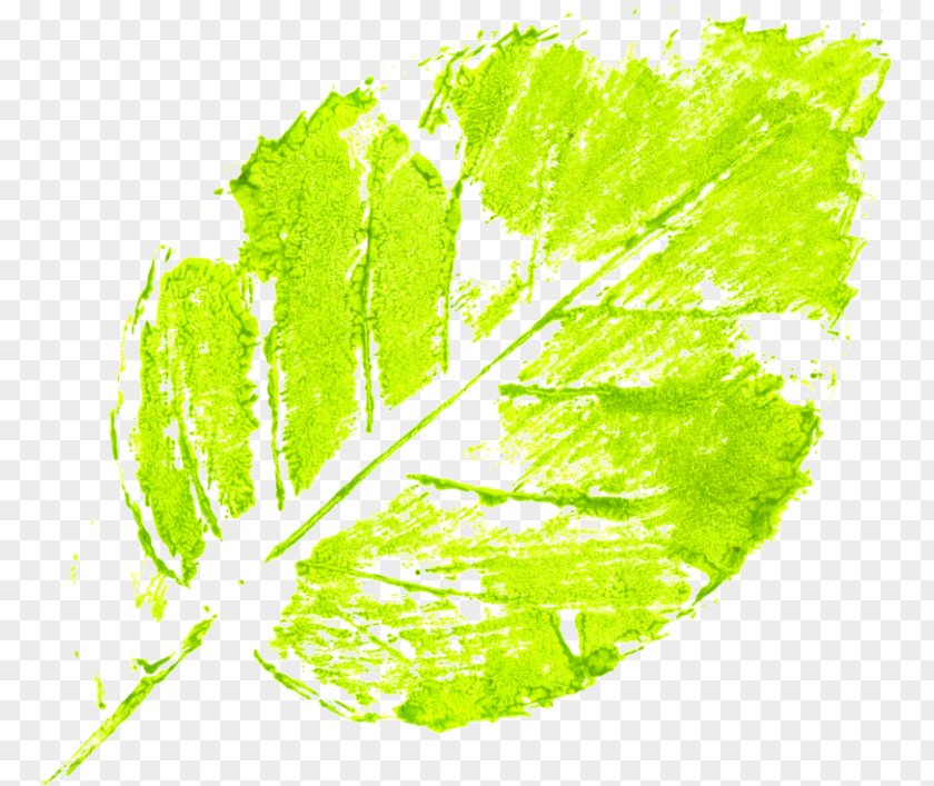 Leaf Abstract Art Modern Green PNG