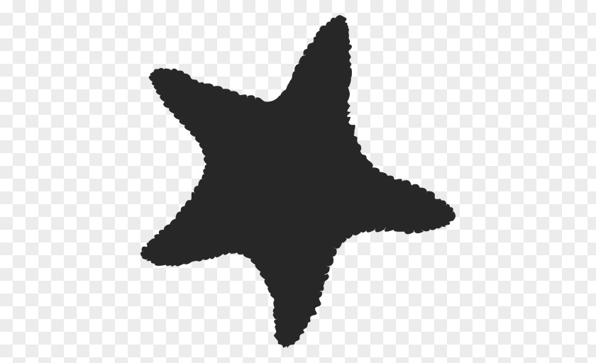 Sea Star Starfish Silhouette Clip Art PNG