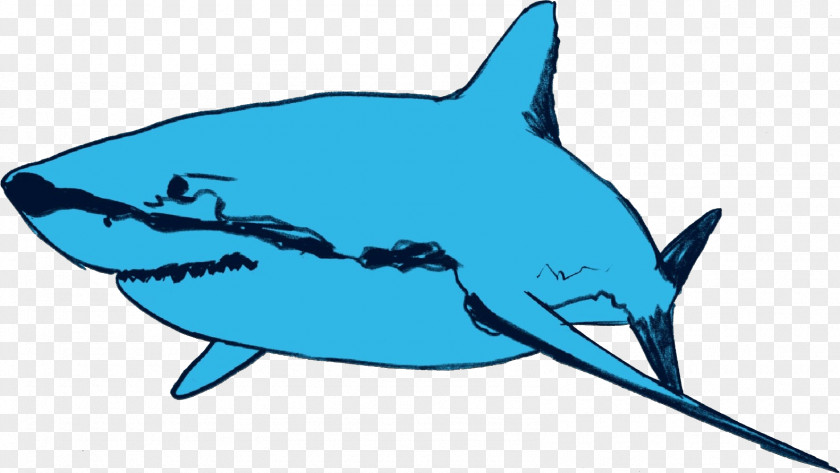 Shark PNG