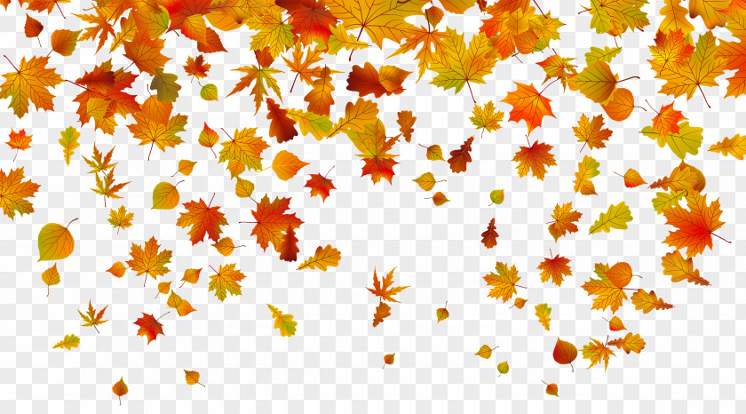 Transparent Fall Leaves Clipart Image Autumn Leaf Color Clip Art PNG