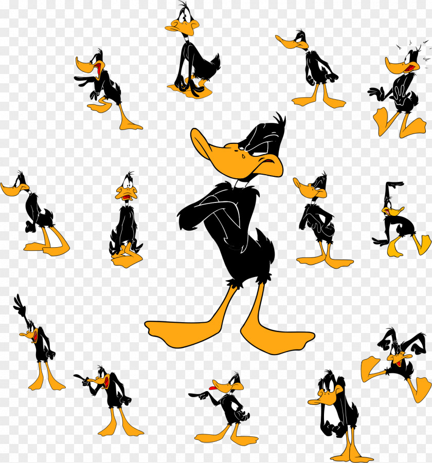 Various Comics Daffy Duck Bugs Bunny Cartoon Looney Tunes PNG