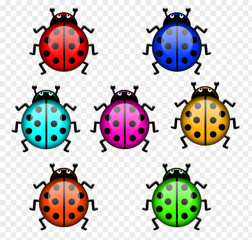 Abelhinha Ladybird Beetle Digital Image Clip Art PNG
