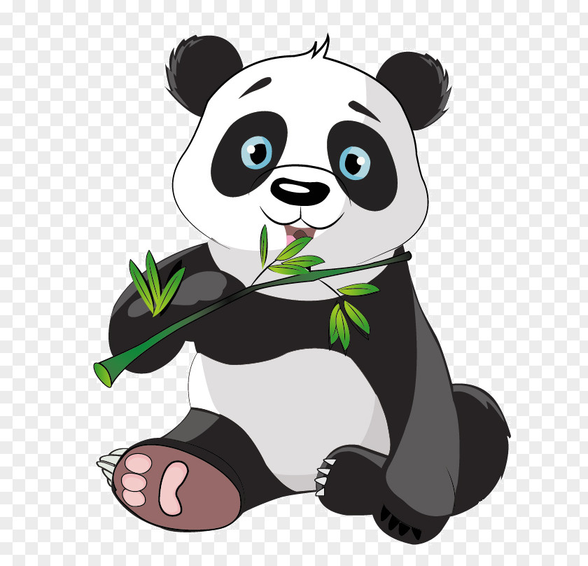 Bear Giant Panda Red Drawing PNG