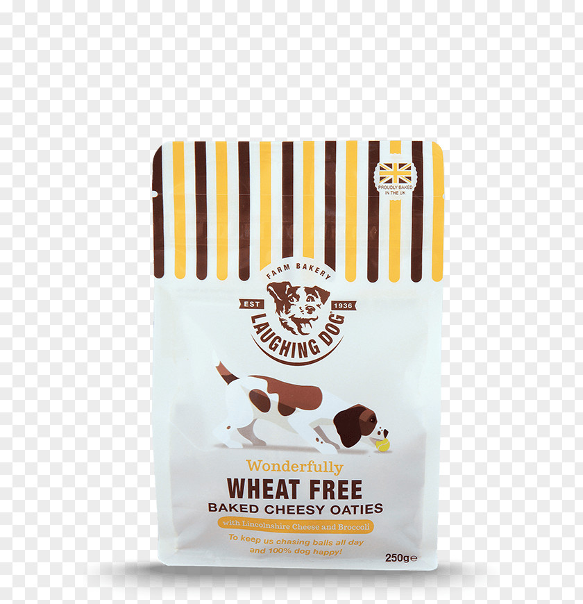 Cheese Dog Biscuit Puppy Food Veterinarian PNG