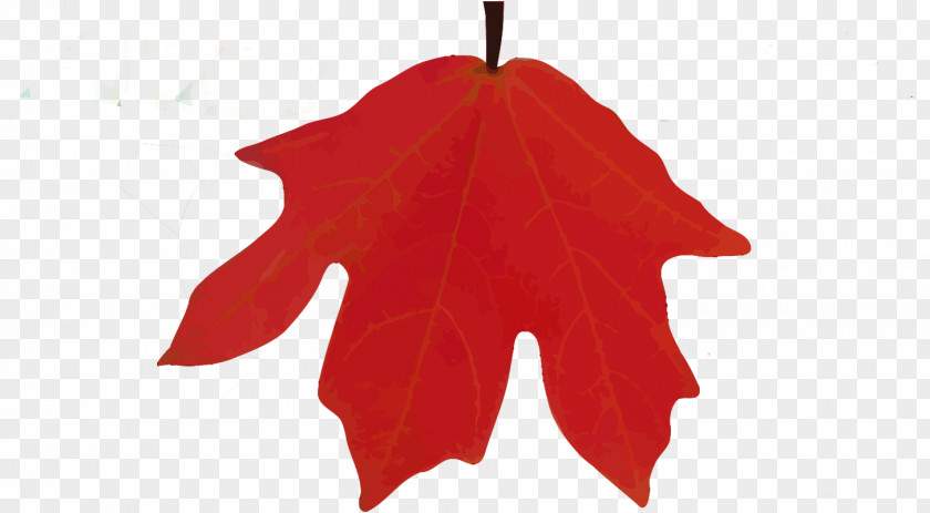 Country Lane Campground Rv Park Lost Maples State Natural Area Maple Leaf Camping Christmas Ornament PNG