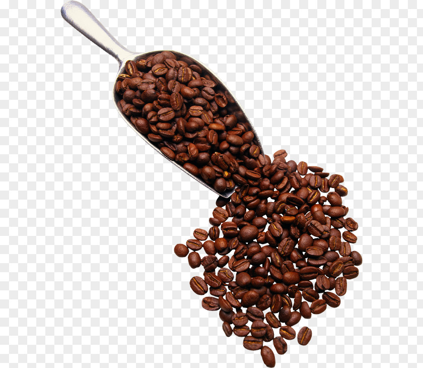 Grain Turkish Coffee Espresso Cappuccino Latte PNG