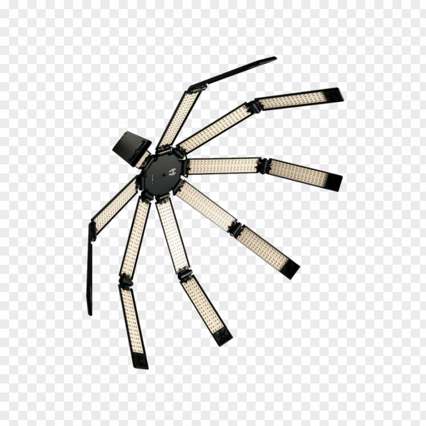 Light Lighting Spider Hard And Soft Light-emitting Diode PNG