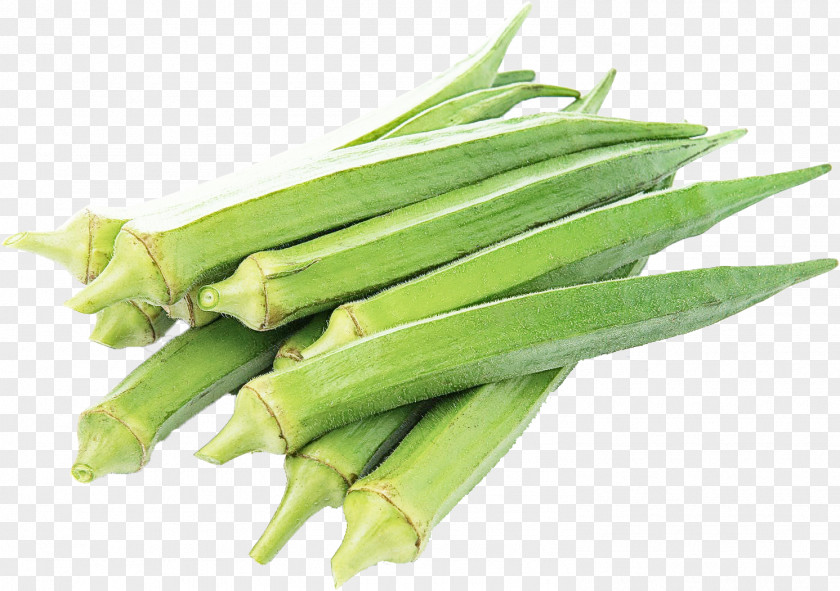 Mallow Family Ingredient Vegetable Okra Food Plant PNG