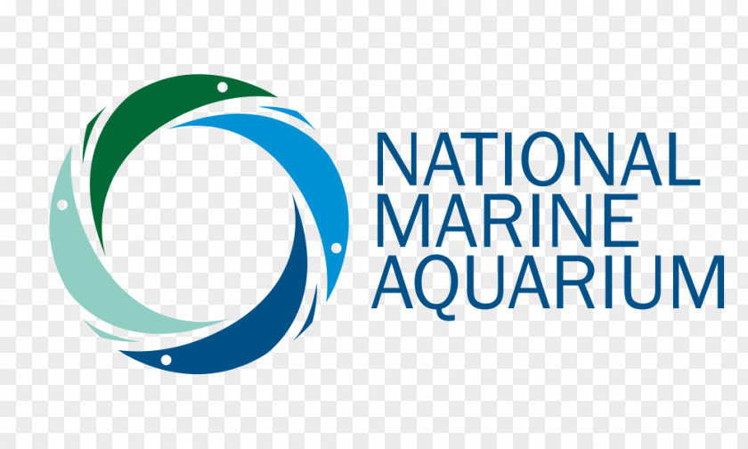 Reclaimed Land National Marine Aquarium, Plymouth Public Aquarium Malta Reef PNG