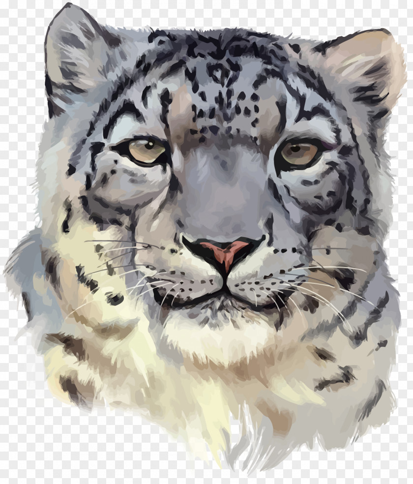 Vector Clouded Leopard PNG