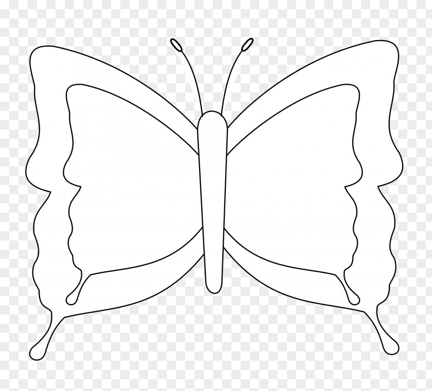 Butterfly Line Art Black And White Coloring Book Drawing PNG
