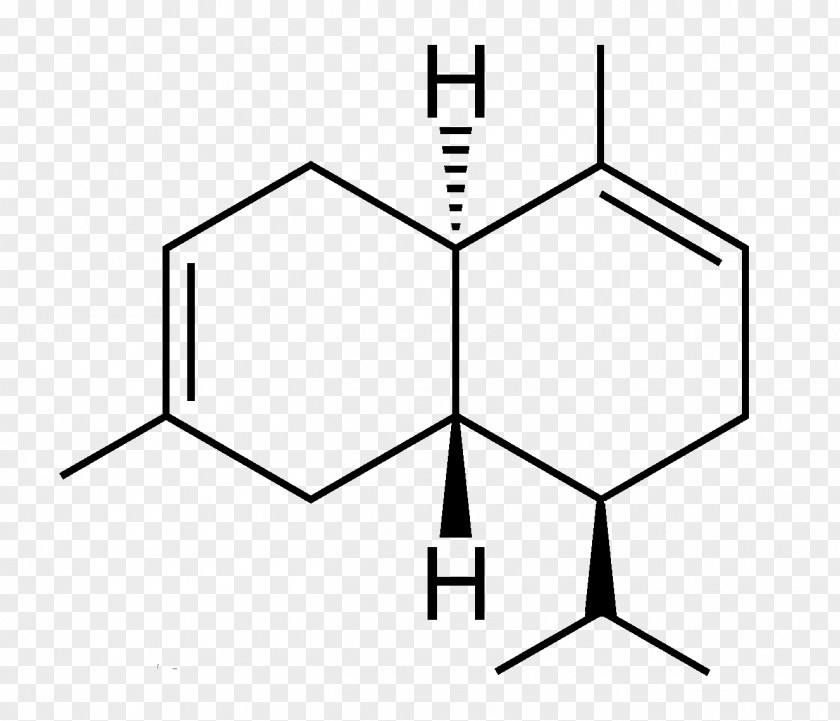 Gquadruplex Amine Amino Acid Catalysis Chemistry Chemical Compound PNG