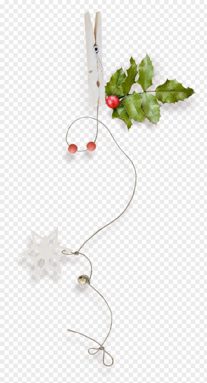 HOLLY Christmas Ornament Data Tree PNG