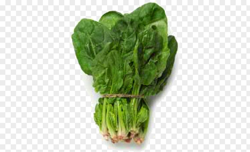Leaf Vegetable Chard Food Spinach PNG