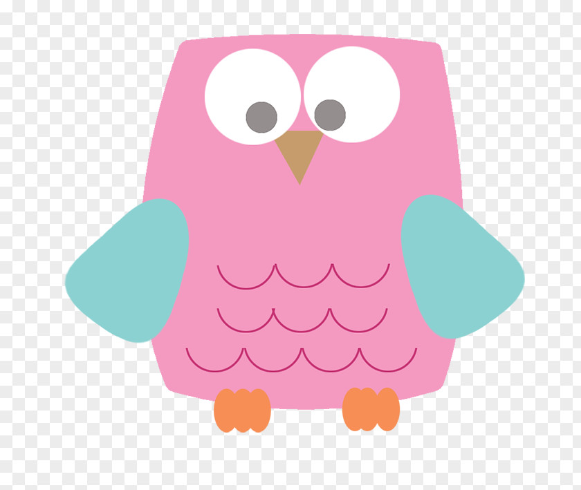 Owl Drawing Cartoon Clip Art PNG