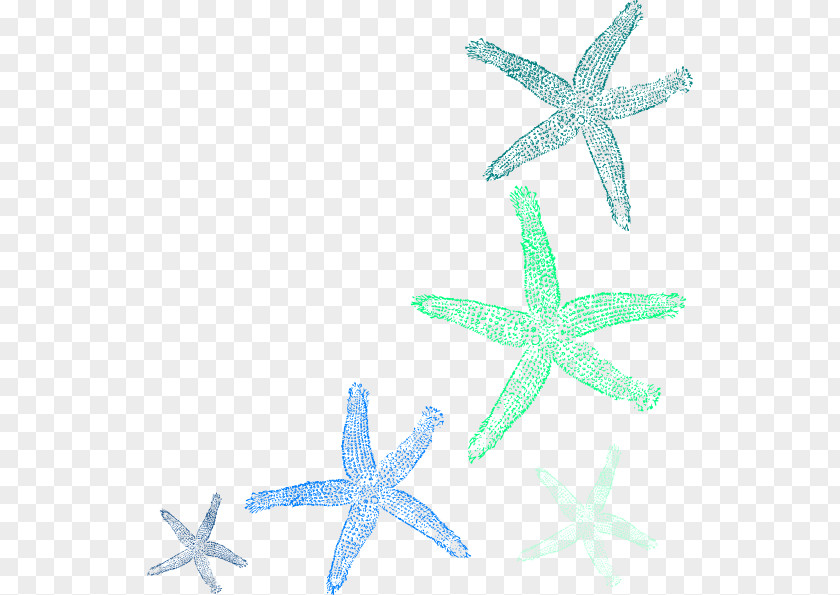 Watercolor Seashell Starfish Clip Art PNG