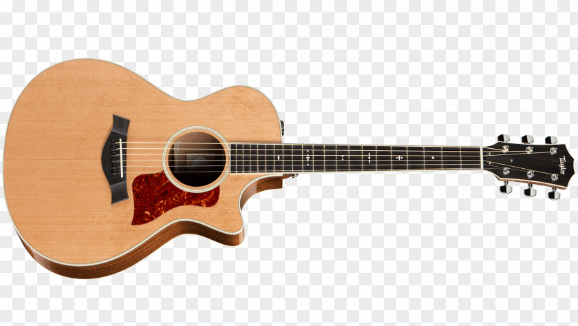 Acoustic Guitar Twelve-string Taylor Guitars Acoustic-electric PNG