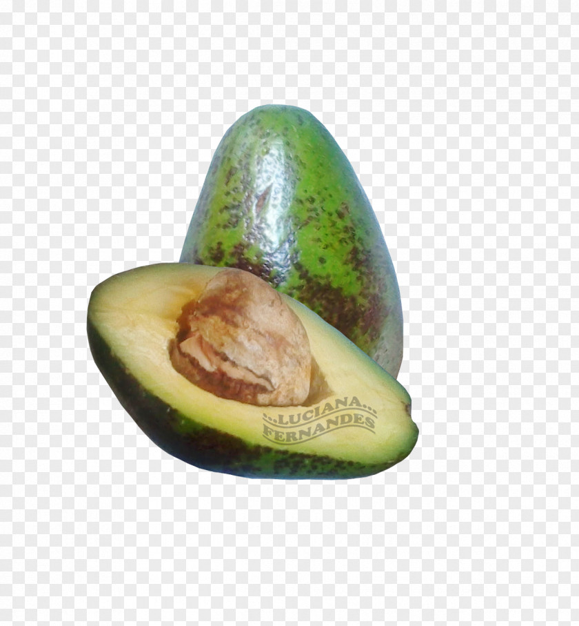 Avocado Food Ingredient Nut PNG