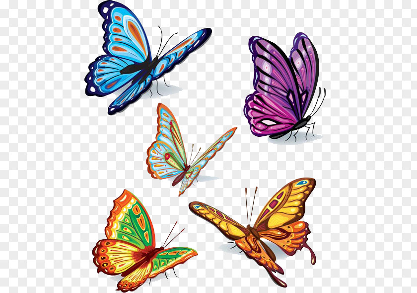 Butterflies Vector Image Butterfly Royalty-free Clip Art PNG