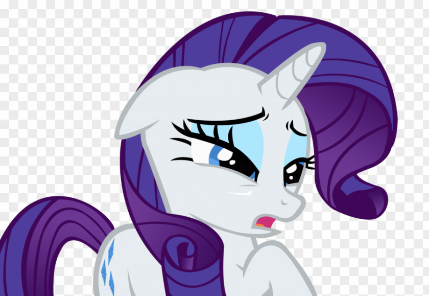 Horse My Little Pony: Equestria Girls Rarity About Ponies PNG