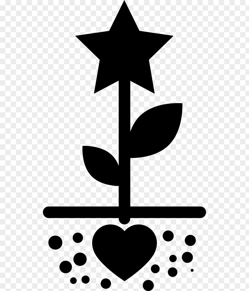 Plant Seed Clip Art PNG