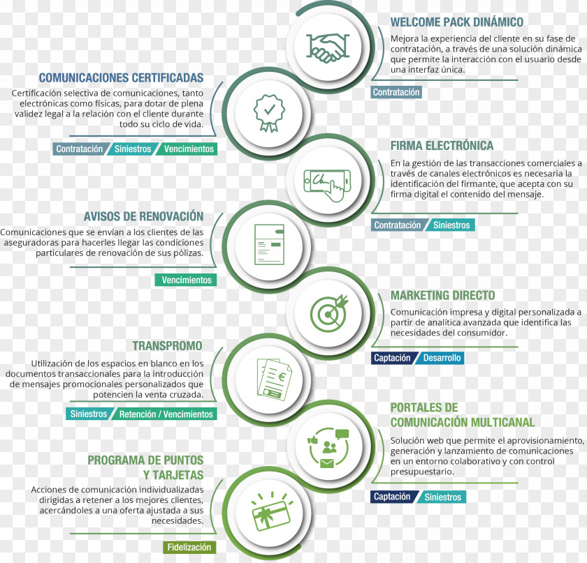 Solutions Customer Communication Biological Life Cycle Consumer PNG