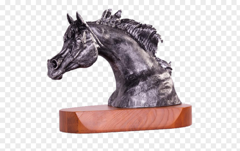 Trophy American Quarter Horse Association Award Champion Stallion PNG