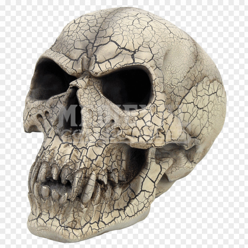 Vampire Skull Human Skeleton Gothic Fashion Head PNG